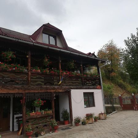 萨多瓦 Casa Cozorici酒店 外观 照片