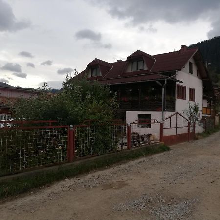 萨多瓦 Casa Cozorici酒店 外观 照片