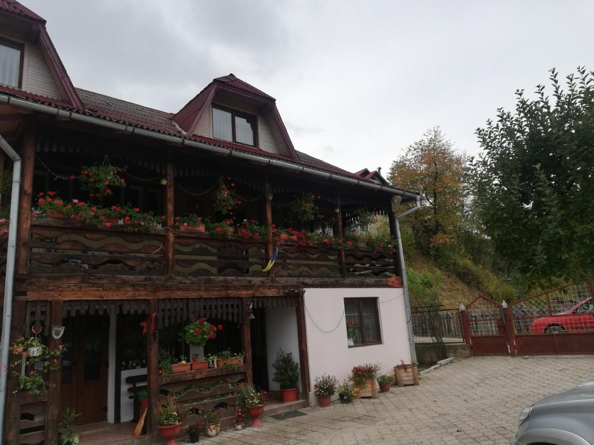 萨多瓦 Casa Cozorici酒店 外观 照片